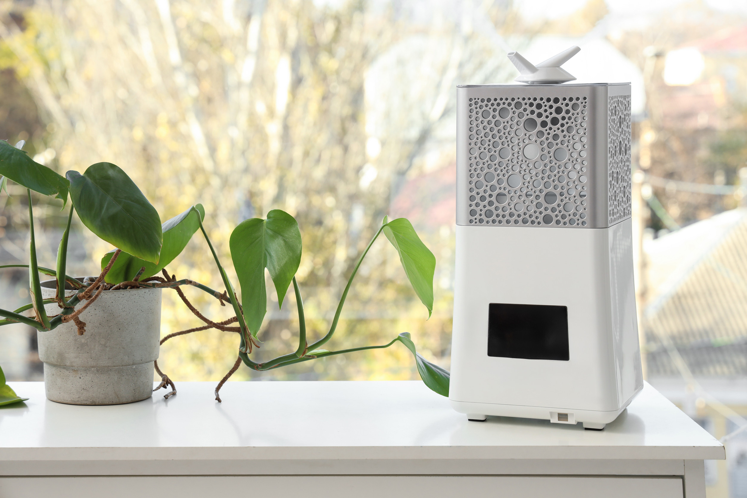 Modern air humidifier with plant on commode near window in room
